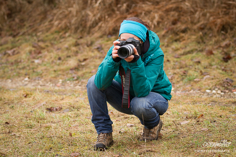 Tierfotografie Eva Stöger Pferdefotografie Hundefotografie
